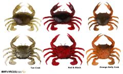 Savage gear LB 3D Manic Crab 5 cm 4 Adet Sahte Balık Red Black Crab
