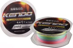 Kendo Dynema 8 Örgü  250Mt (Multıcolour) 0,24 mm