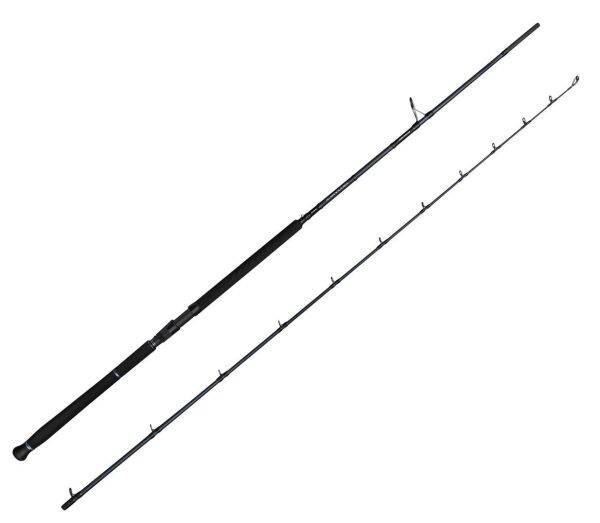 Savage Gear Defiance SG2 Shore Jig 2.90m 15-60gr 2 Parça Olta Kamışı