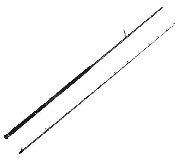 Savage Gear Defiance SG2 Shore Jig 3.05m 60-150gr 2 Parça Olta Kamışı