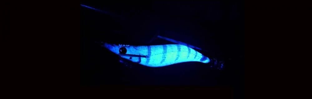 DTD Real Fish Oita 3.0 Egi Tip Run Glow 96 mm 14.4 gr Kalamar Zokası