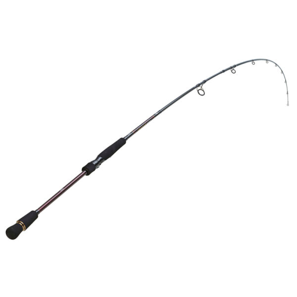 Daiwa Infeet Seabass 2.44m 14-42gr 2P Kamış